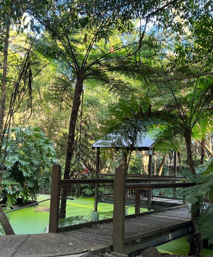 The Oasis At One Mile Beach Nelson Bay Bagian luar foto